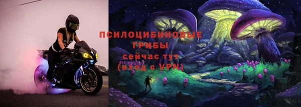 spice Карталы